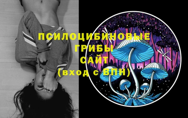 марки nbome Аркадак