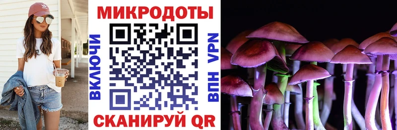 купить   Губаха  Псилоцибиновые грибы MAGIC MUSHROOMS 